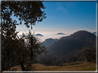 foto Colline Marosticane nella Nebbia